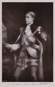 The Prince Of Wales, in robes of investiture by English School